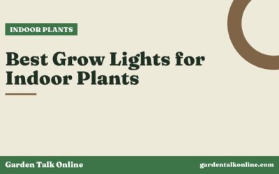 Best Grow Lights for Indoor Plants