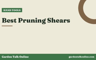 Best Pruning Shears