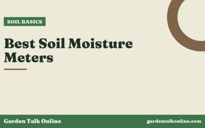 Best Soil Moisture Meters