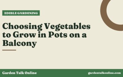 Choosing Vegetables to Grow in Pots on a Balcony