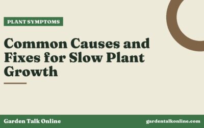 Common Causes and Fixes for Slow Plant Growth