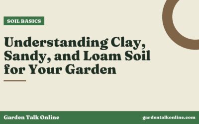 Understanding Clay, Sandy, and Loam Soil for Your Garden