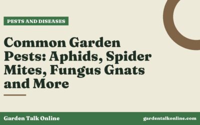 Common Garden Pests: Aphids, Spider Mites, Fungus Gnats and More