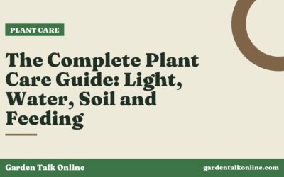 The Complete Plant Care Guide: Light, Water, Soil and Feeding