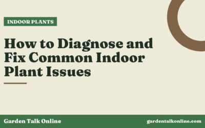 How to Diagnose and Fix Common Indoor Plant Issues