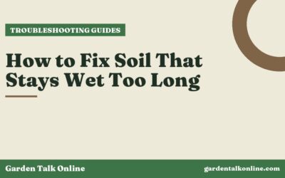 How to Fix Soil That Stays Wet Too Long