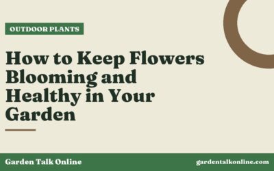 How to Keep Flowers Blooming and Healthy in Your Garden