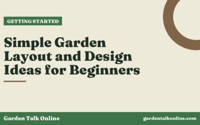Simple Garden Layout and Design Ideas for Beginners
