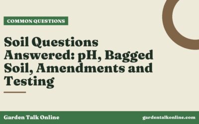 Soil Questions Answered: pH, Bagged Soil, Amendments and Testing