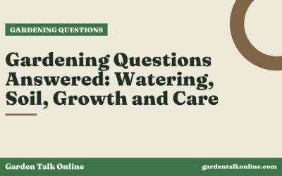 Gardening Questions Answered: Watering, Soil, Growth and Care