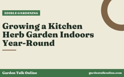 Growing a Kitchen Herb Garden Indoors Year-Round
