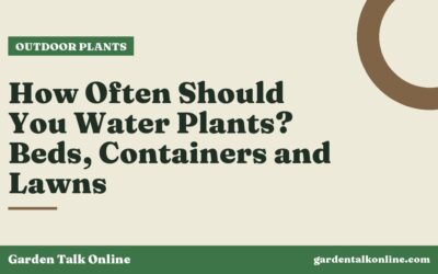 How Often Should You Water Plants? Beds, Containers and Lawns