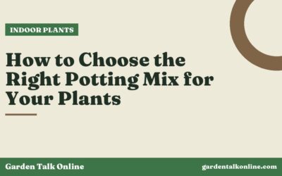How to Choose the Right Potting Mix for Your Plants