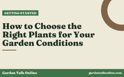 How to Choose the Right Plants for Your Garden Conditions
