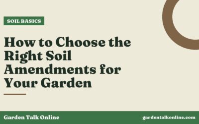 How to Choose the Right Soil Amendments for Your Garden