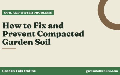 How to Fix and Prevent Compacted Garden Soil