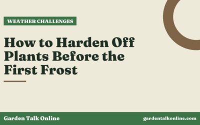 How to Harden Off Plants Before the First Frost