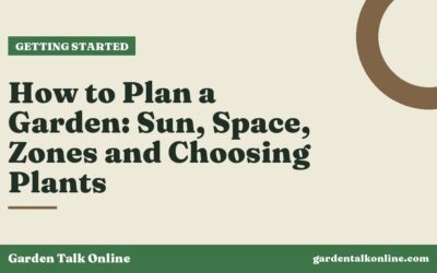 How to Plan a Garden: Sun, Space, Zones and Choosing Plants