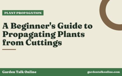 A Beginner’s Guide to Propagating Plants from Cuttings