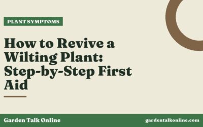 How to Revive a Wilting Plant: Step-by-Step First Aid