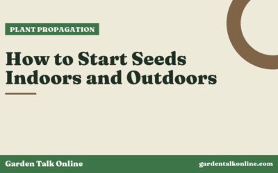 How to Start Seeds Indoors and Outdoors