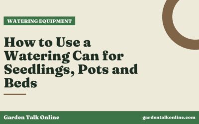 How to Use a Watering Can for Seedlings, Pots and Beds