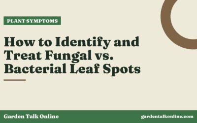 How to Identify and Treat Fungal vs. Bacterial Leaf Spots