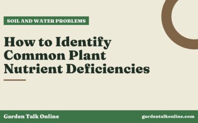 How to Identify Common Plant Nutrient Deficiencies