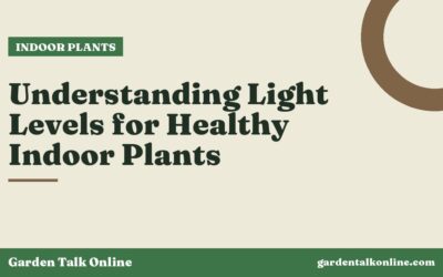 Understanding Light Levels for Healthy Indoor Plants