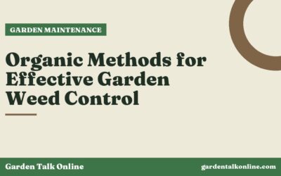 Organic Methods for Effective Garden Weed Control