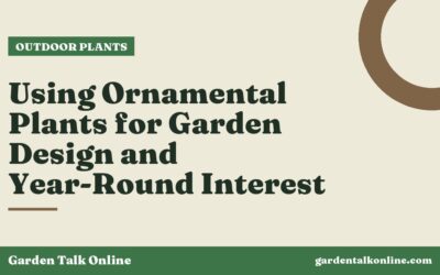 Using Ornamental Plants for Garden Design and Year-Round Interest
