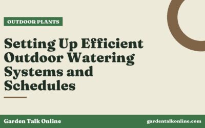 Setting Up Efficient Outdoor Watering Systems and Schedules