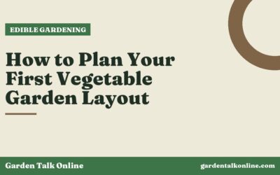 How to Plan Your First Vegetable Garden Layout