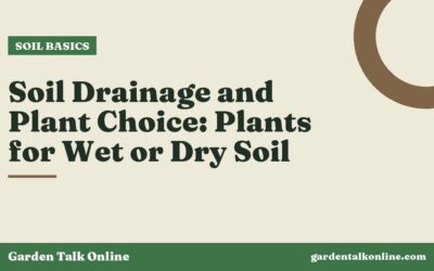 Soil Drainage and Plant Choice: Plants for Wet or Dry Soil