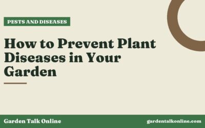 How to Prevent Plant Diseases in Your Garden
