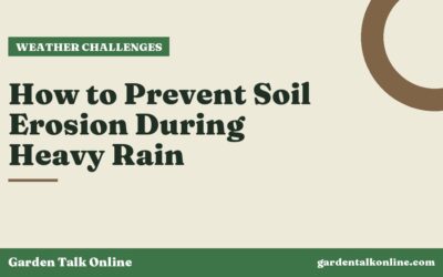 How to Prevent Soil Erosion During Heavy Rain
