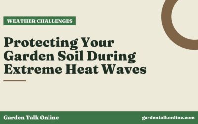Protecting Your Garden Soil During Extreme Heat Waves