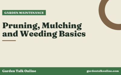 Pruning, Mulching and Weeding Basics