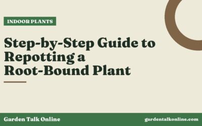 Step-by-Step Guide to Repotting a Root-Bound Plant