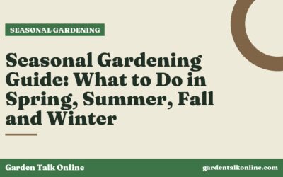 Seasonal Gardening Guide: What to Do in Spring, Summer, Fall and Winter