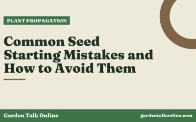 Common Seed Starting Mistakes and How to Avoid Them