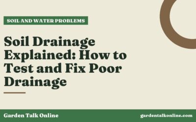 Soil Drainage Explained: How to Test and Fix Poor Drainage