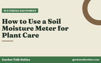 How to Use a Soil Moisture Meter for Plant Care