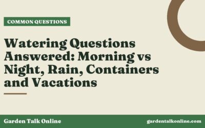 Watering Questions Answered: Morning vs Night, Rain, Containers and Vacations