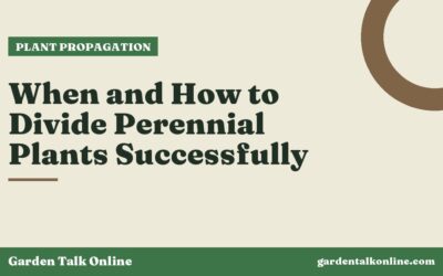 When and How to Divide Perennial Plants Successfully