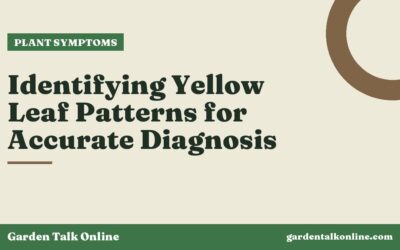 Identifying Yellow Leaf Patterns for Accurate Diagnosis
